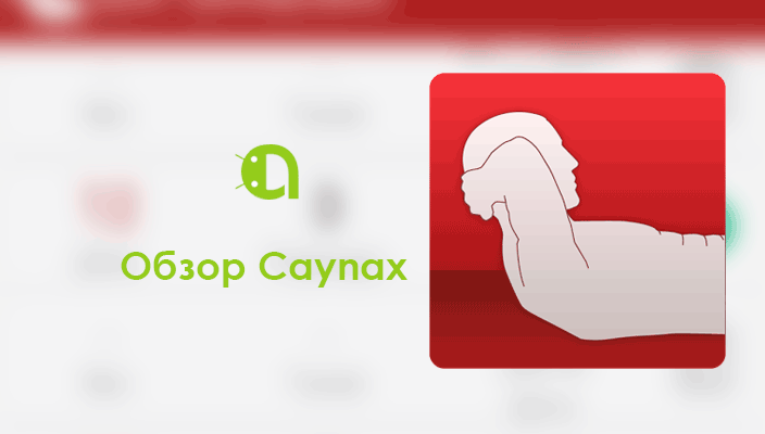 Обзор Caynax